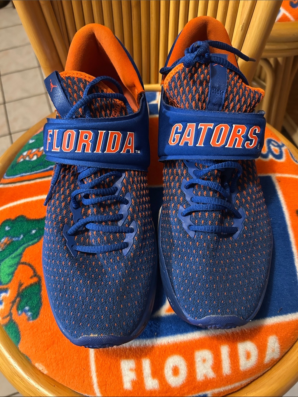 Florida gators